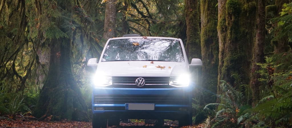 Frontalansicht eines weiß-blauen VW Bus Campers im Wald